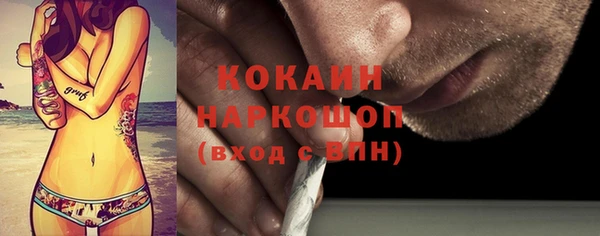гашик Майский