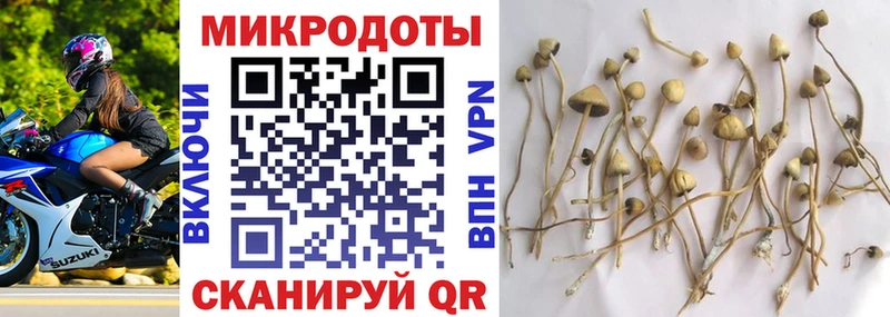 Галлюциногенные грибы ЛСД Кувандык