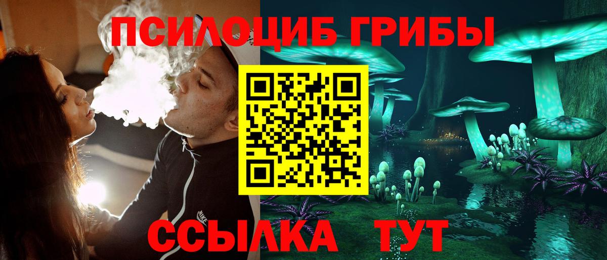 Галлюциногенные грибы прущие грибы  Вход с VPN  Кувандык 