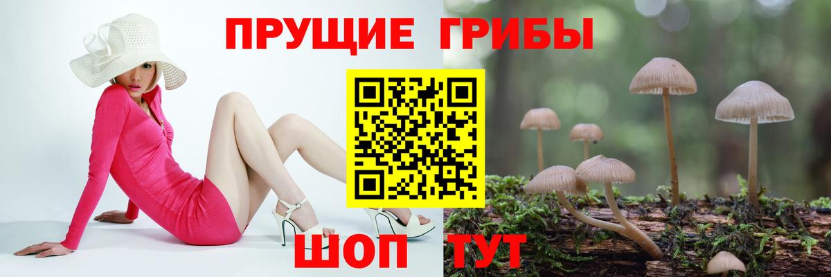 Псилоцибиновые грибы Magic Shrooms Кувандык